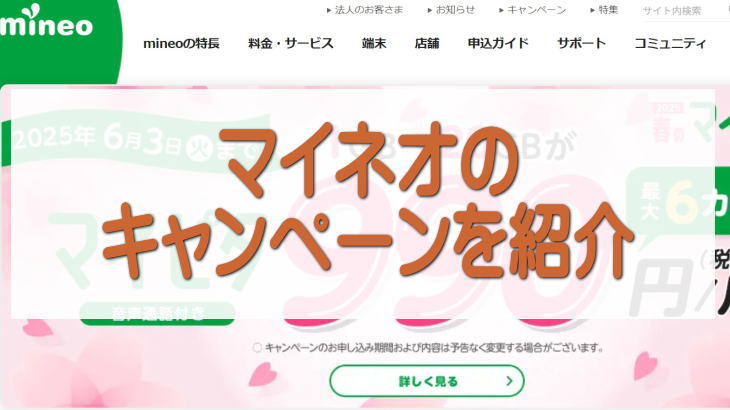 マイネオのキャンペーンを紹介