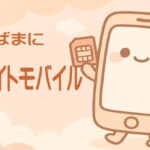 エキサイトモバイルへのMNP転入前に知るべき注意点